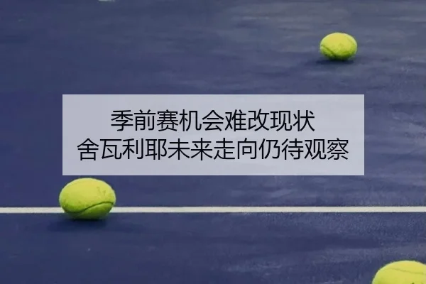 季前赛机会难改现状 舍瓦利耶未来走向仍待观察